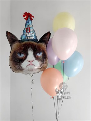 Набор Grumpy Cat Сердитая кошка шары макаронс 05100