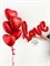 Набор «Love» красный (5 сердец) 02908 - фото 10124