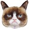 Фигура Grumpy Cat Сердитая кошка (кот) 50*49 см с гелием 1207-4262 - фото 10437