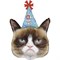 Фигура Grumpy Cat Сердитая кошка (кот) в колпаке 50*73 см с гелием 1207-4263, 35260-P - фото 10716