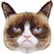 Фигура Grumpy Cat Сердитая кошка (кот) 50*49 см с гелием 1207-4262 - фото 5374