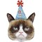 Фигура Grumpy Cat Сердитая кошка (кот) в колпаке 50*73 см с гелием 1207-4263, 35260-P - фото 5392